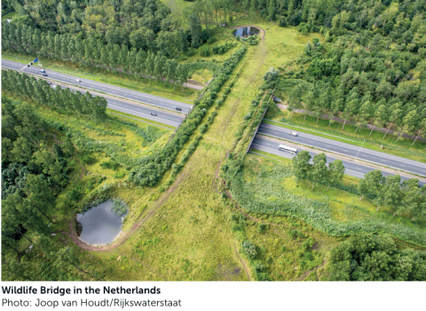 pleidooi voor een natuurverbinding over of onder de N403 in Stekene