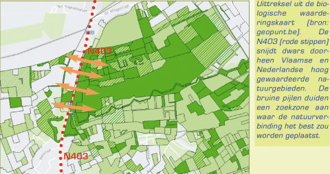 pleidooi voor een natuurverbinding over of onder de N403 in Stekene