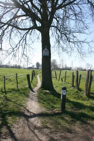 Wandelingen in het Waasland 