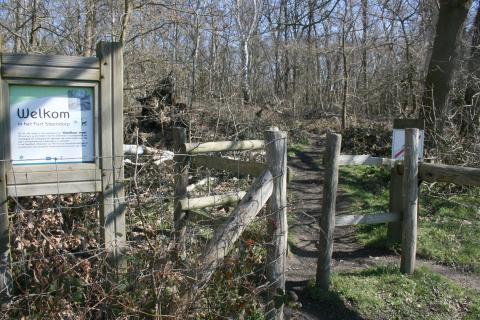 Wandelingen in het Waasland 